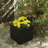 Square colored pot NARCISO 40